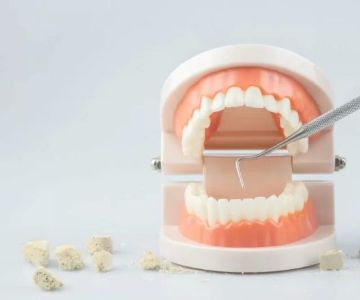 Best Toothpaste for Tartar Removal and Effective Oral Care Tips