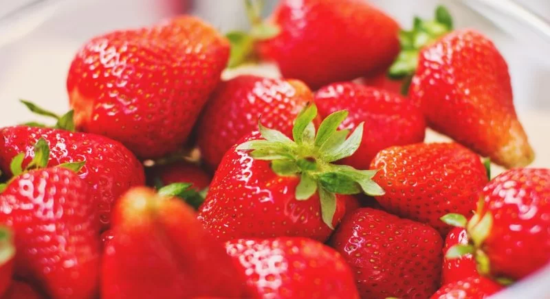 Best Foods to Avoid Tooth Decay and Maintain a Healthy Smile