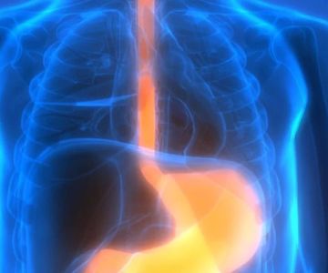 Can Bad Oral Hygiene Cause Stomach Problems? Understanding the Oral-Gut Connection